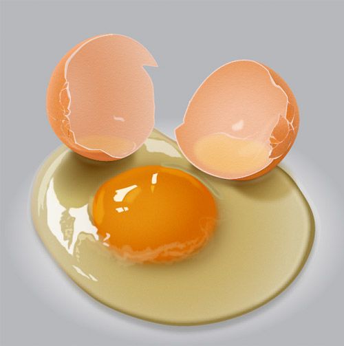 Trứng gà chứa hơn 69 loại protein khác nhau